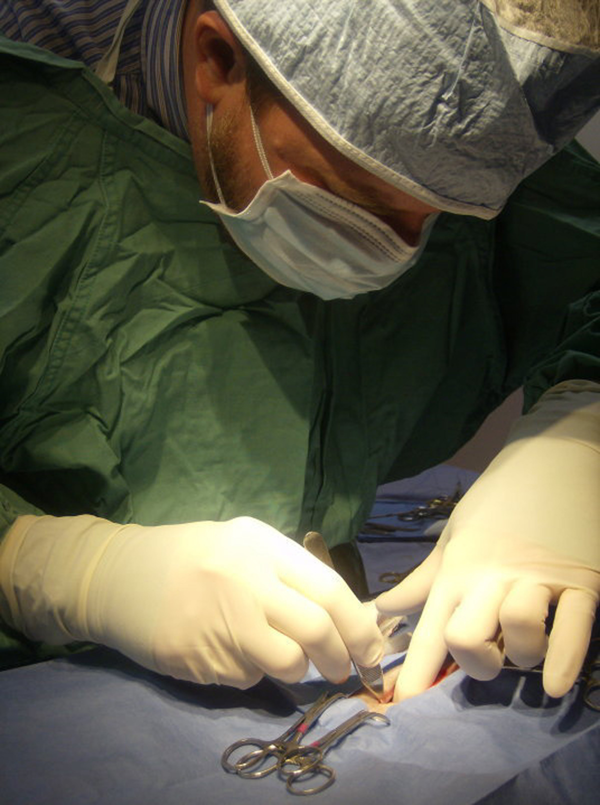 Veterinary Surgery Clays Mill Veterinary Clinic