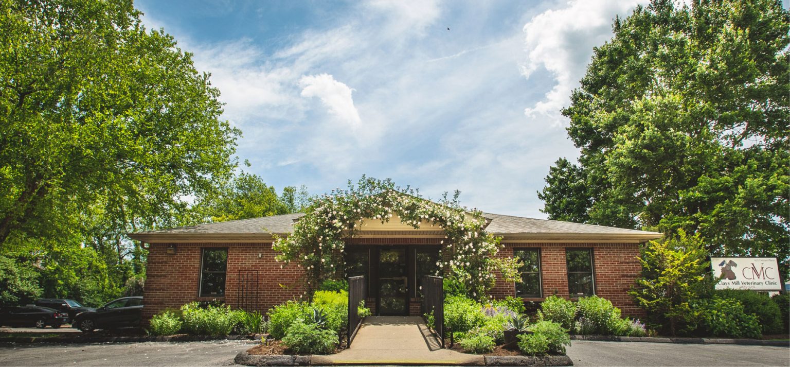 Meet the Team Clays Mill Veterinary Clinic