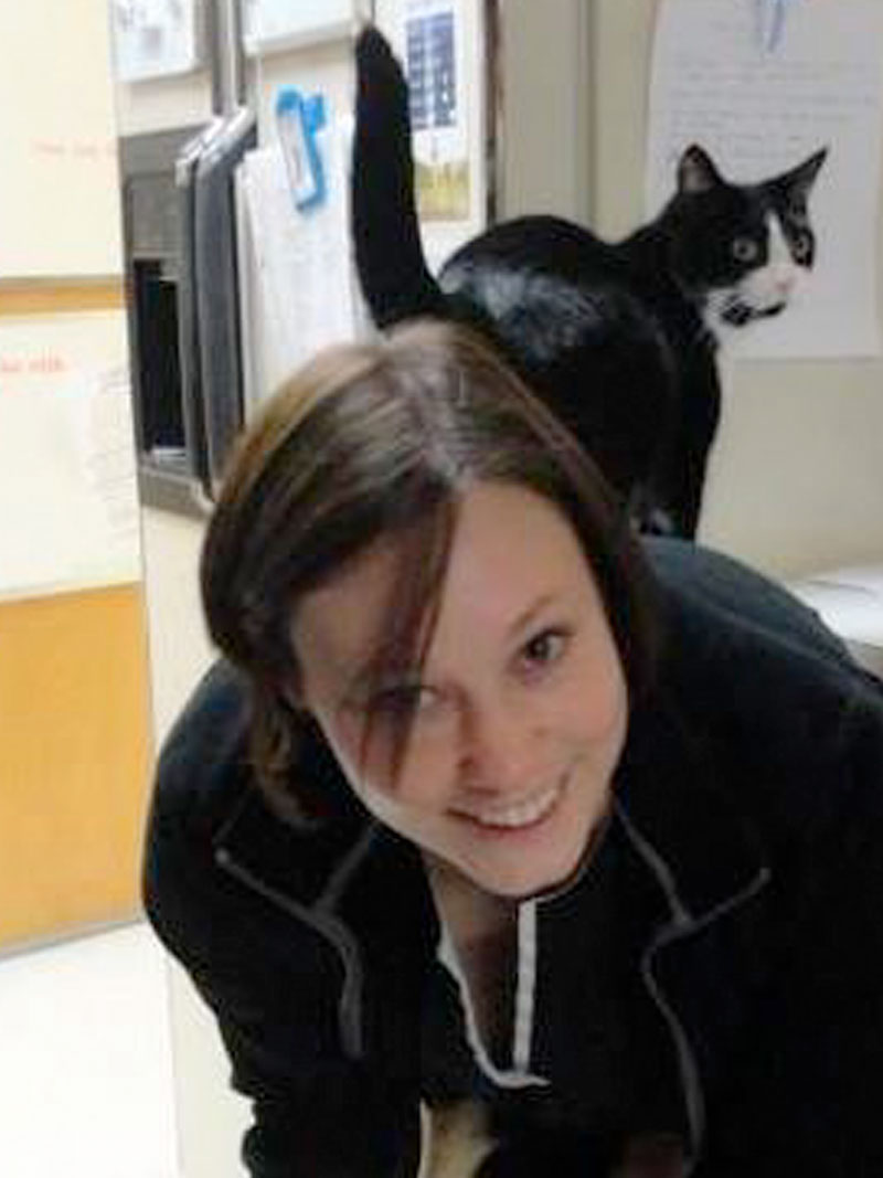 Meet the Team Clays Mill Veterinary Clinic