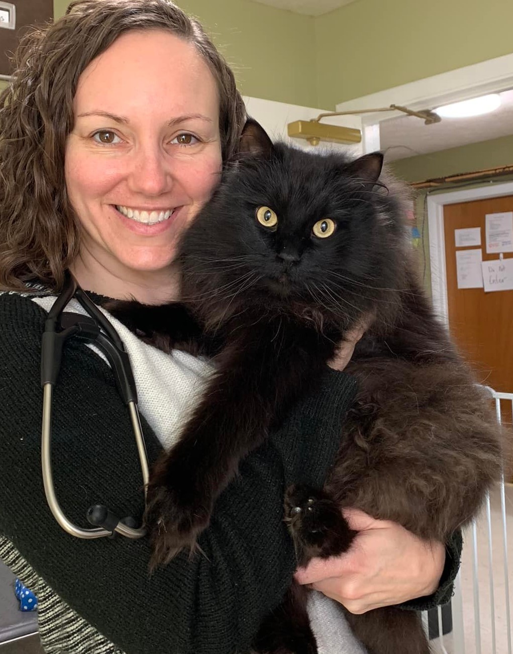 Meet the Team Clays Mill Veterinary Clinic